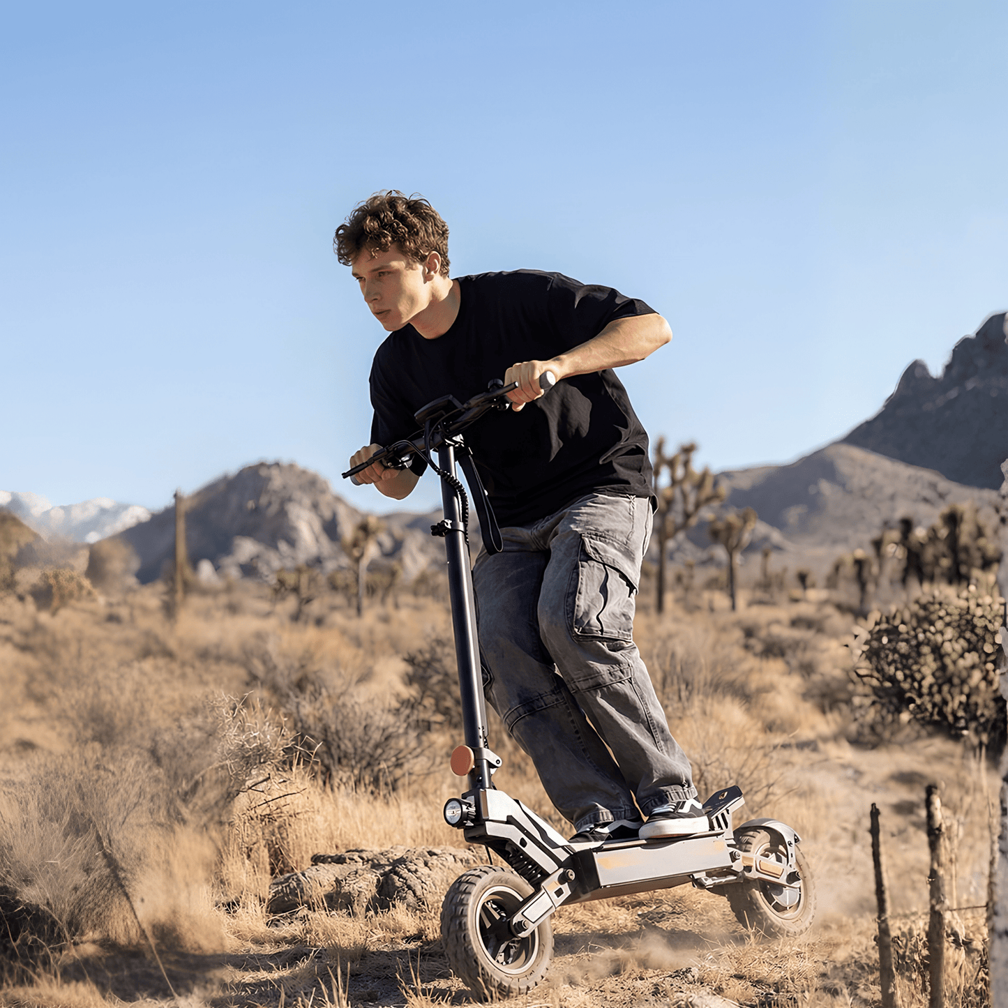 iScooter W10 - Electric scooter - Wheelyshop