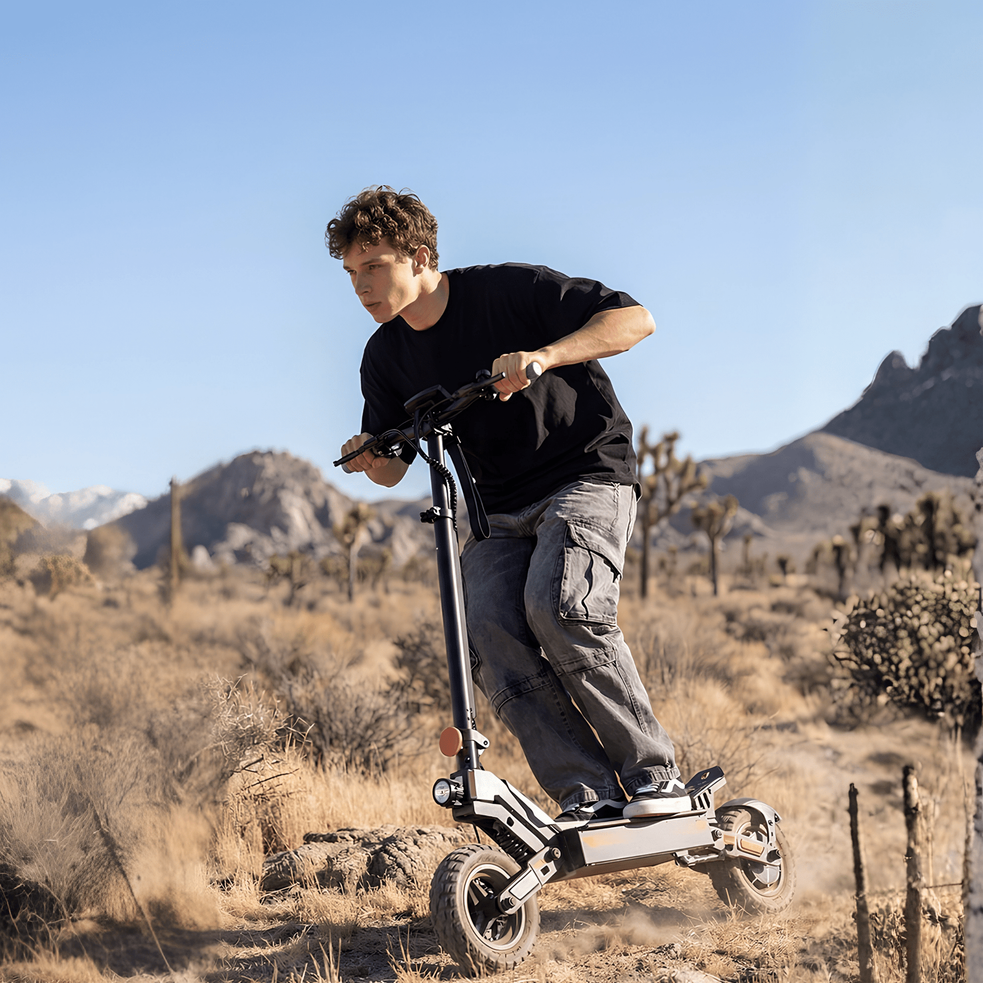 iScooter W10 - Electric scooter - Wheelyshop