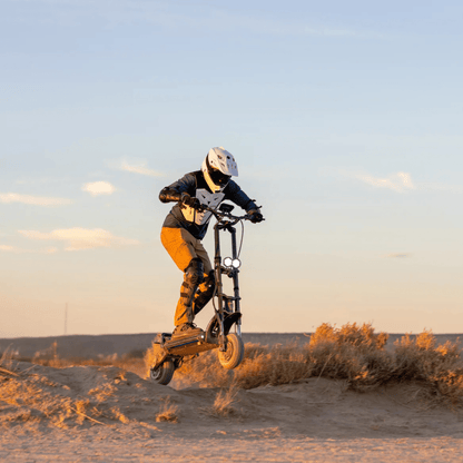 KAABO WOLF WARRIOR 11 MAX - Electric scooter - Wheelyshop