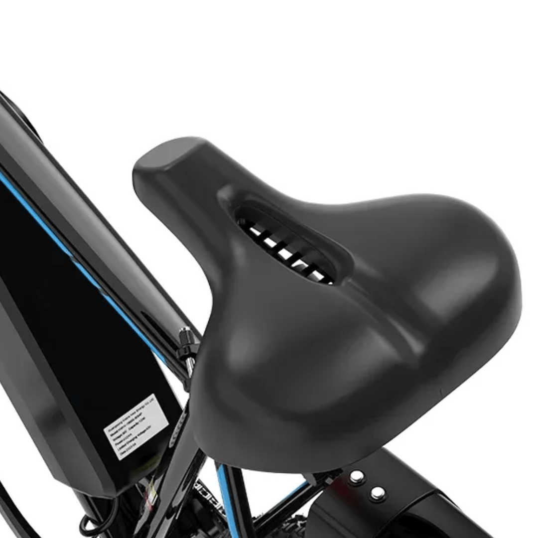 KOOLUX X15 - Electric bike - Wheelyshop