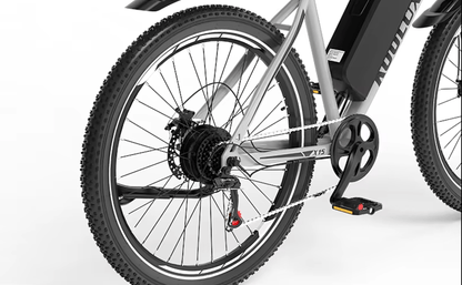 KOOLUX X15 - Electric bike - Wheelyshop