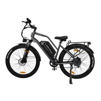 LOOKROAD L28 Max fatbike-elcykel sedd från sidan i färgen grå