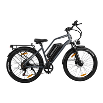 LOOKROAD L28 Max fatbike-elcykel sedd från sidan i färgen grå