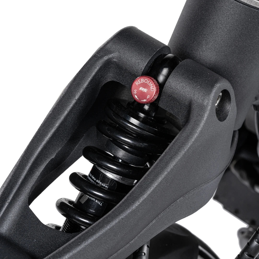 NAMI BLAST 2 MAX - Electric scooter - Wheelyshop