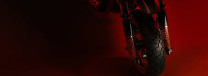 NINEBOT ZT3 PRO E BY SEGWAY - Elsparkcykel - Wheelyshop