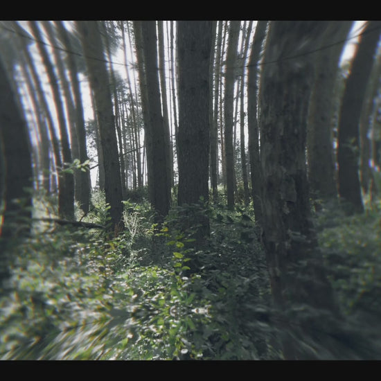 Kaabo Wolf Warrior King GTR Elsparkcykel Reklamvideo - Wheelyshop