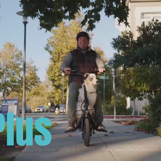 C1Plus Electric Scooter 650W With Removeable Two Baskets, Ample Storage for Pets & Cargo-UL2272