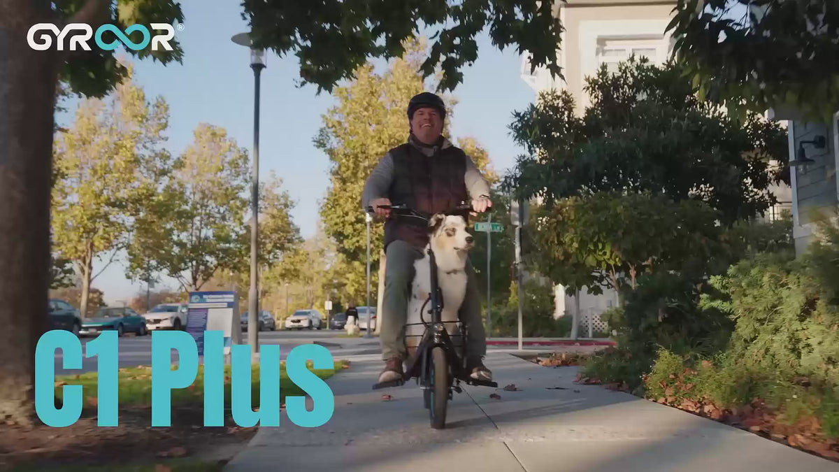 C1Plus Electric Scooter 650W With Removeable Two Baskets, Ample Storage for Pets & Cargo-UL2272