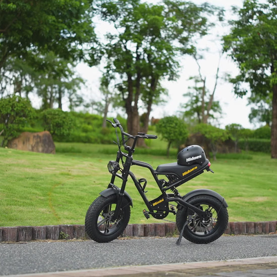 Top Fat Electric Bike for Teens, Packs a Punch and Fun | Hidoes B6mini
