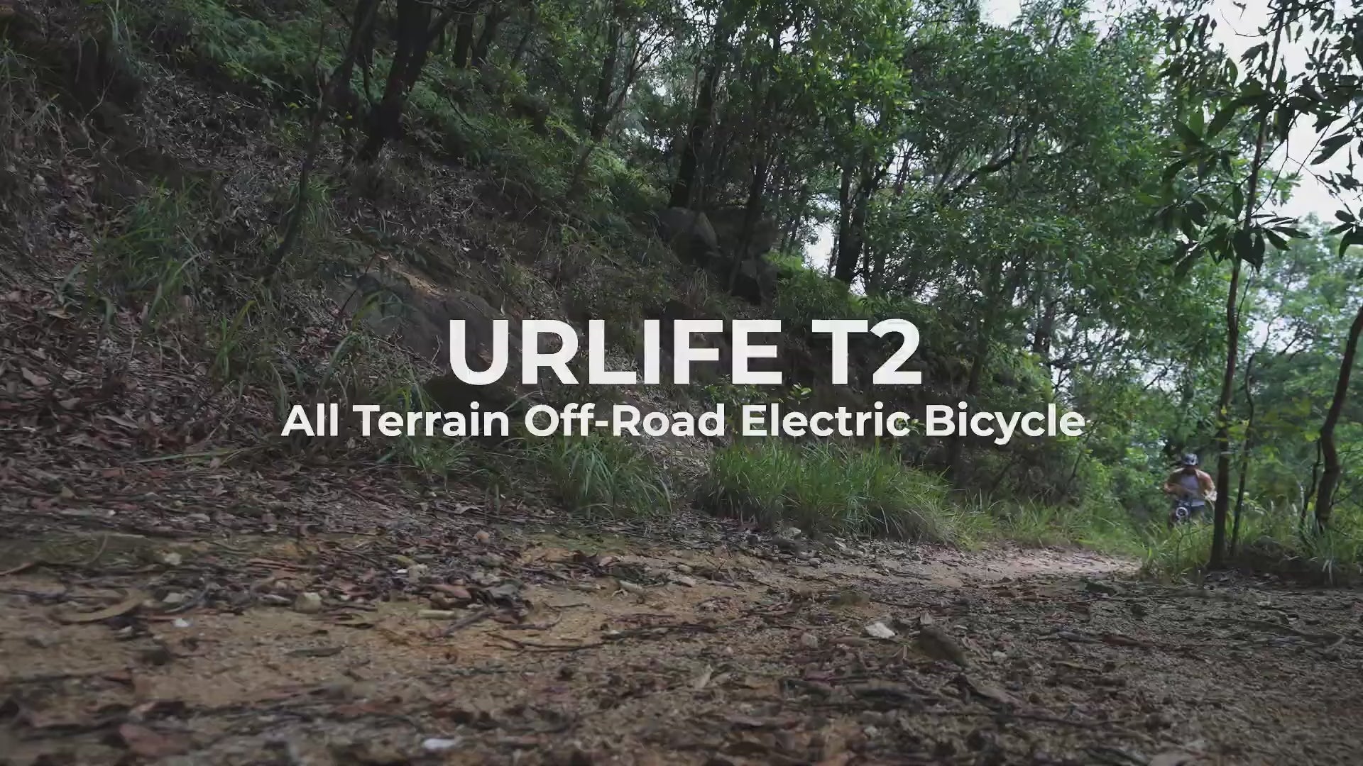 URLIFE T2 Electric Bike _ Adventure-Ready Fat Tire Power