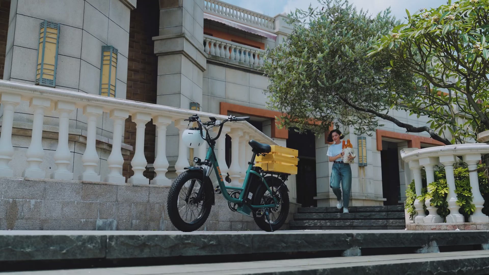 URLIFE E20 Electric Bike Rugged Power, All-Terrain Performance