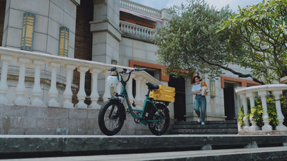 URLIFE E20 Electric Bike Rugged Power, All-Terrain Performance