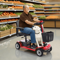 Äldre man sitter på SEEDREAM S-02 permobil med en hund