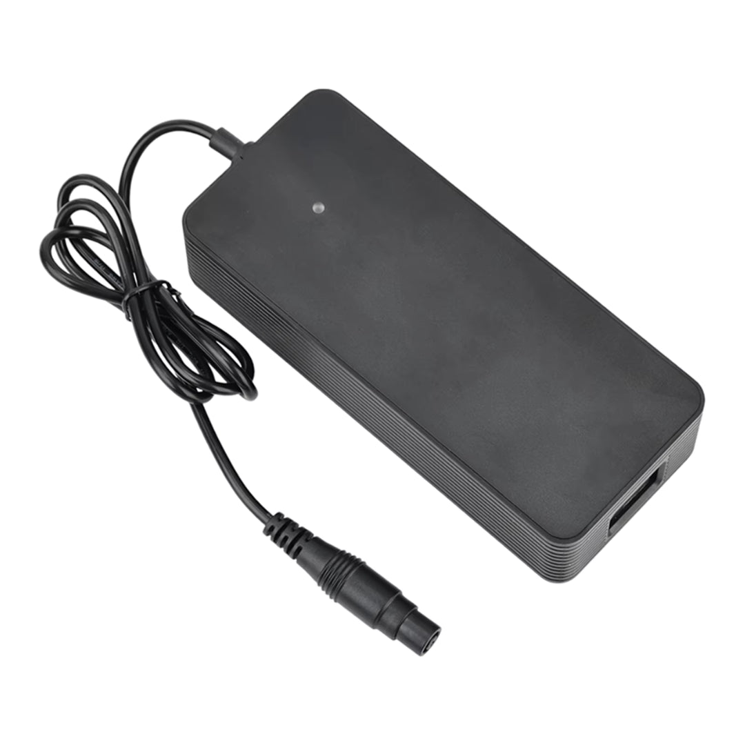 Snabbladdare Xiaomi 4 Pro Plus/Max + Ninebot ZT3 - Tillbehör - Wheelyshop