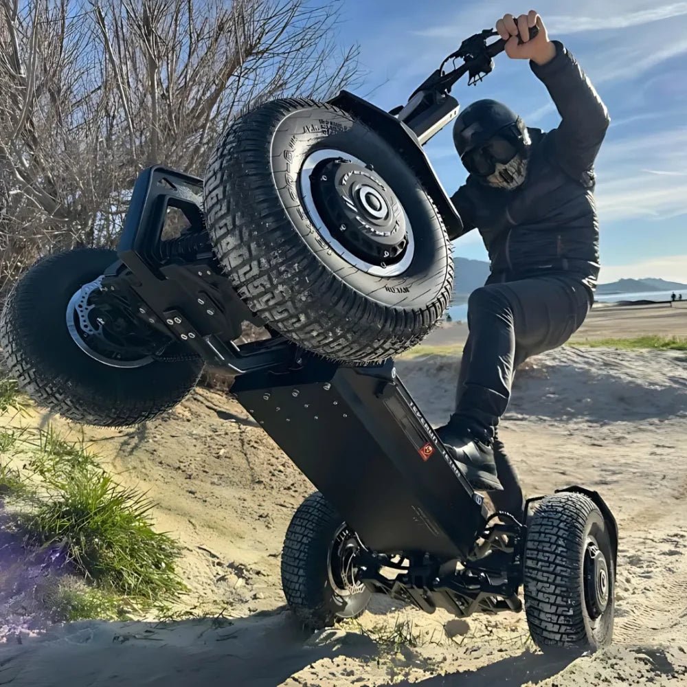 TEVERUN TETRA - Electric scooter - Wheelyshop