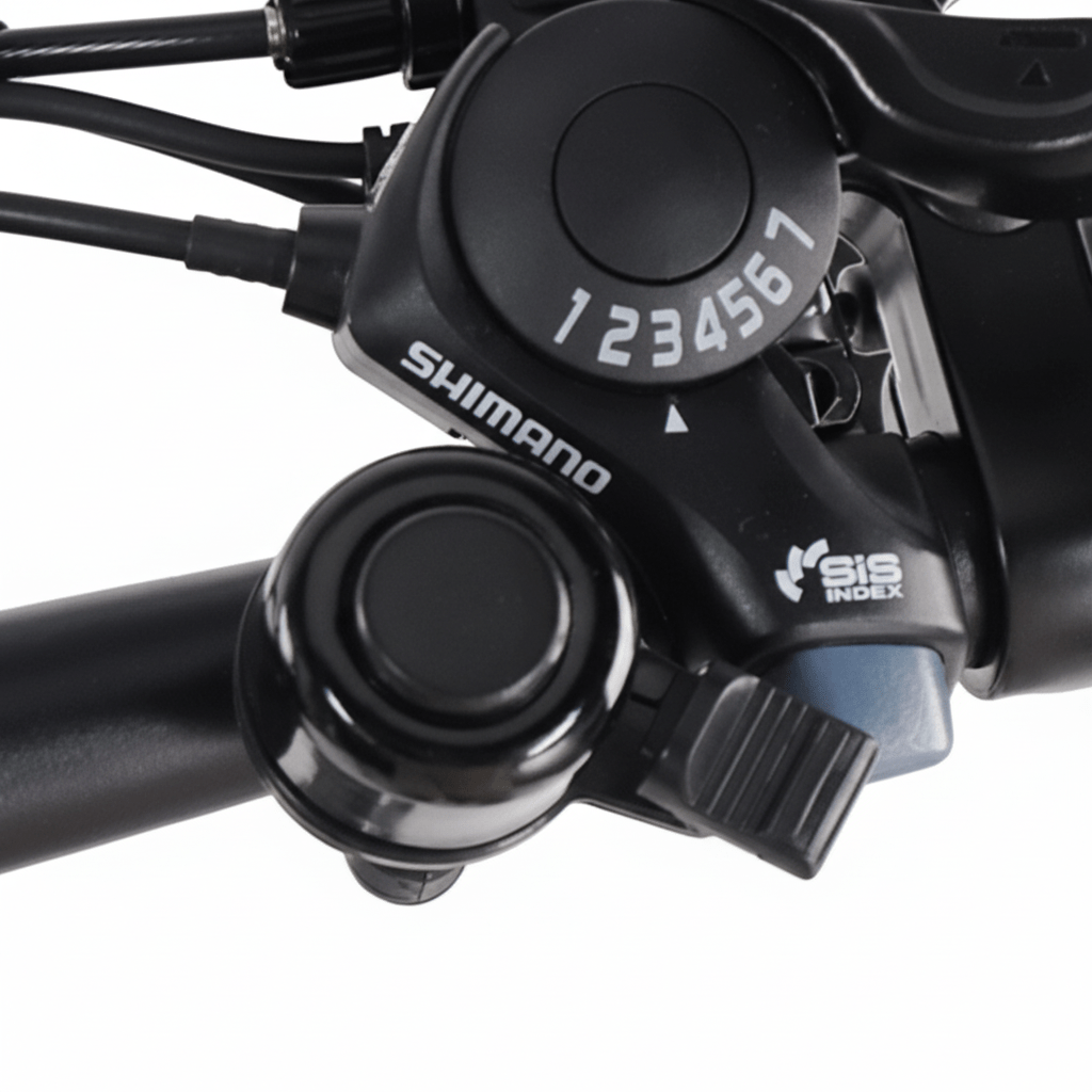 VARUN C20 - 1 - Electric bike - Wheelyshop