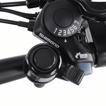 VARUN C20 - 1 - Electric bike - Wheelyshop