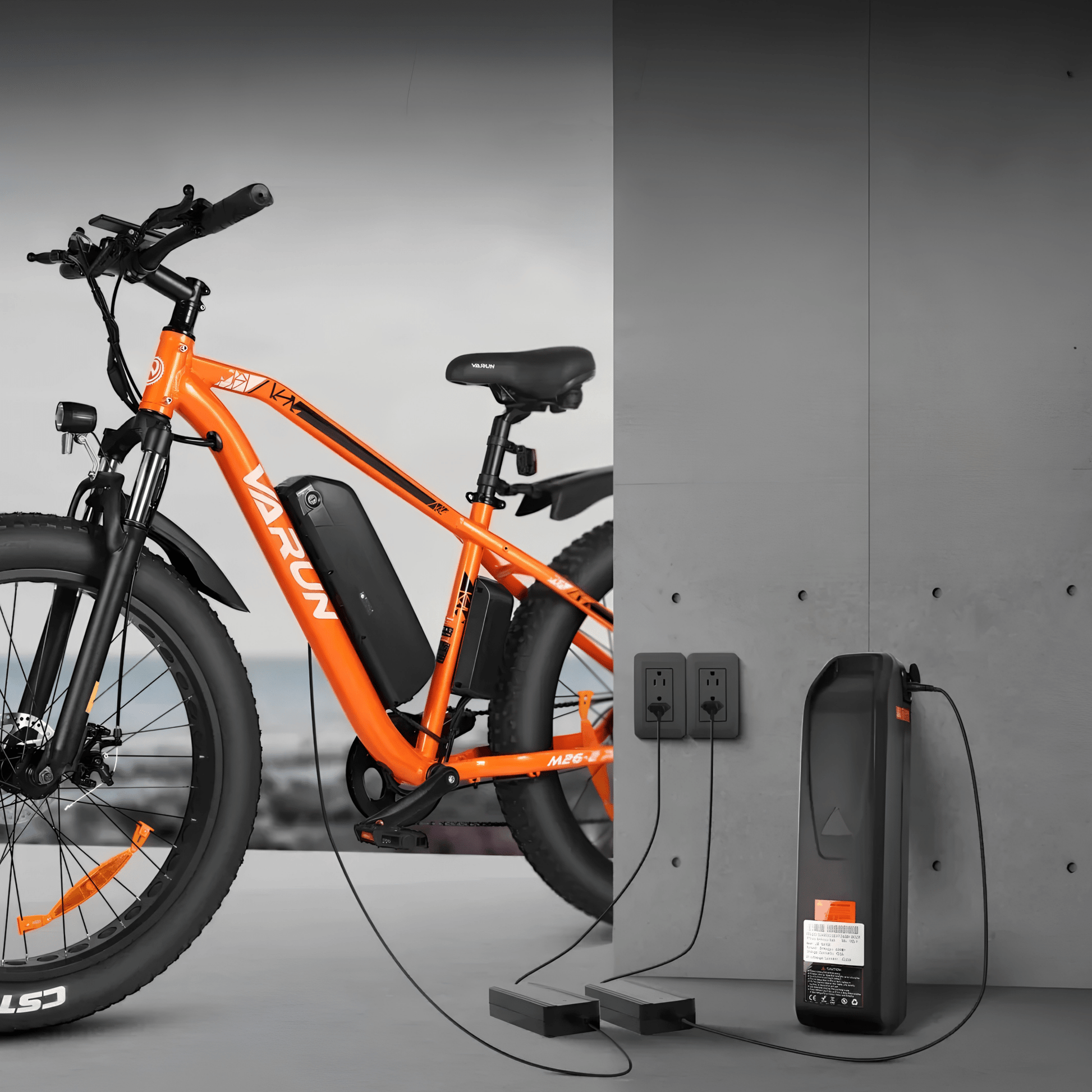 VARUN M26-2 Pro - Electric bike - Wheelyshop