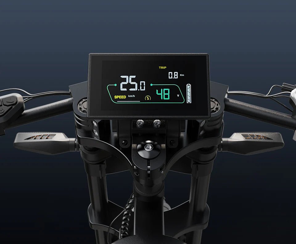 VARUN X - Plorer Beast - Electric bike - Wheelyshop