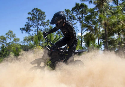 VIPCOO H3 - El - cross - Wheelyshop