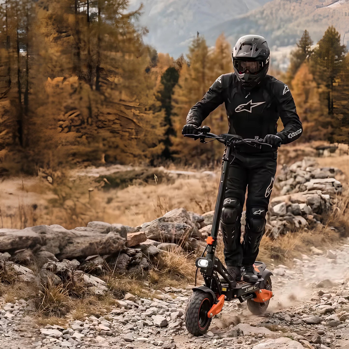 Wheely - ES-X2 Max - Electric scooter - Wheelyshop