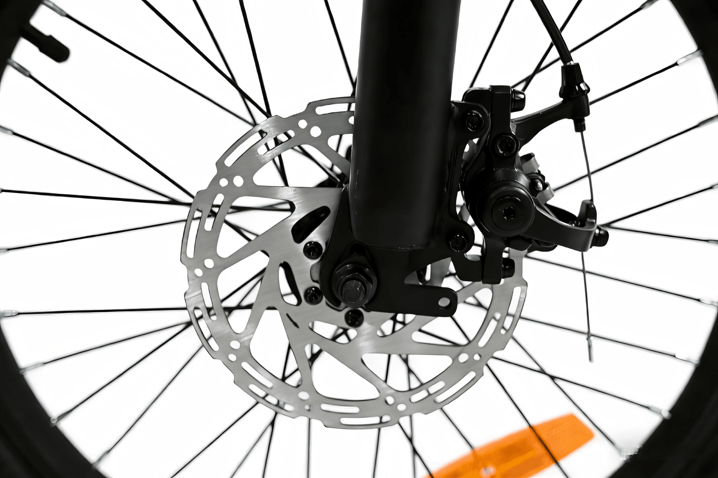 YANGOR H19 (36V 10Ah) - Elcykel - Wheelyshop