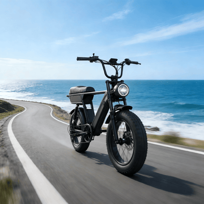YANGOR Y20 Plus - Elcykel - Wheelyshop