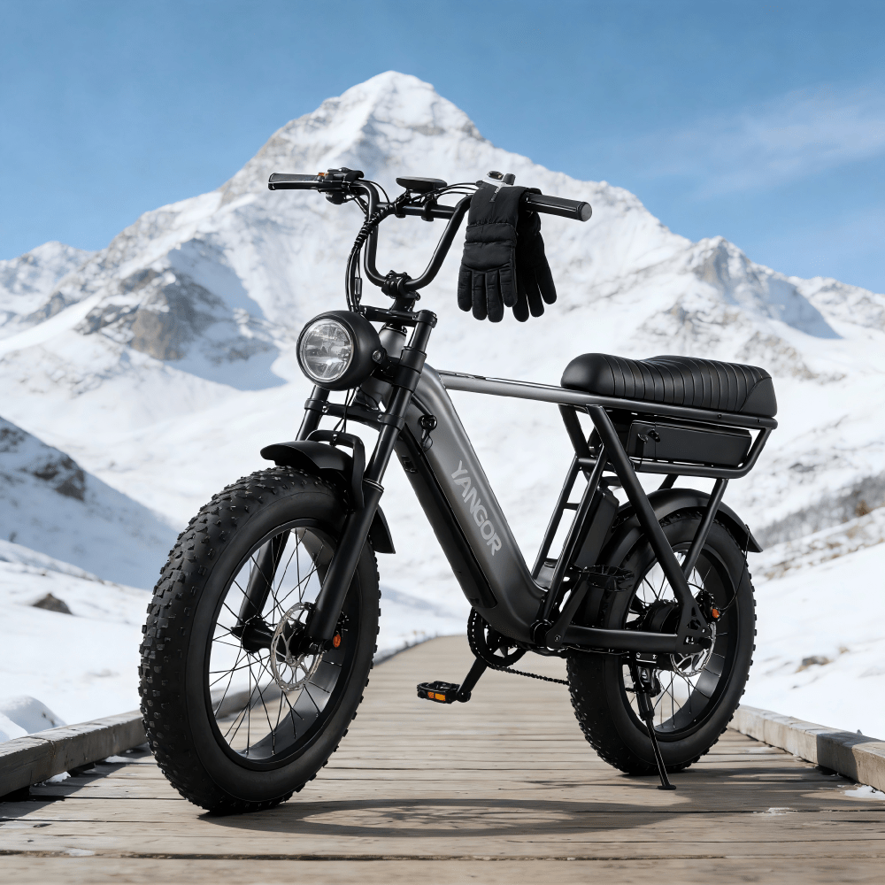 YANGOR Y20 Pro - Elcykel - Wheelyshop