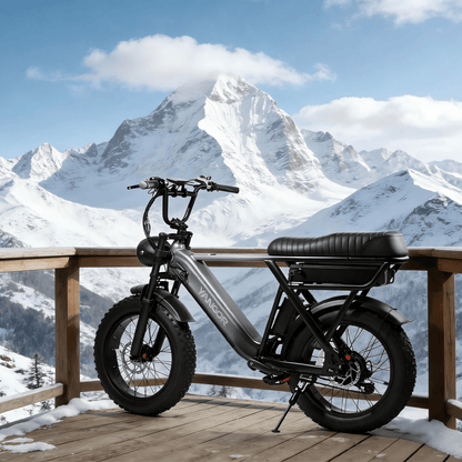 YANGOR Y20 Pro - Elcykel - Wheelyshop