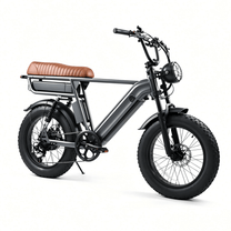 YANGOR Y20 Pro Max fatbike-elcykel snett framifrån från motsatt sida i färgen grå